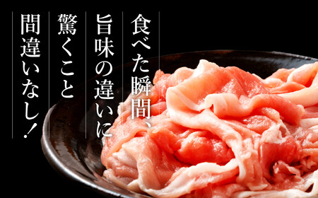 豚肉 おだしまポーク 切り落とし 2kg [関精肉畜産 宮城県 加美町] 肉 国産 冷凍 小分け 小間切れ 宮城県産 ブランド豚 ss-opko02