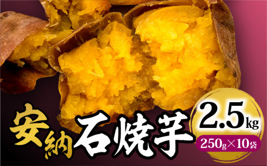 安納石焼芋　10袋セット｜石焼 安納芋 芋 お芋 いも 石焼芋 石焼き芋 いしやきいも サツマイモ イモ デザート 幻の芋 種子島 糖度 20度 黄金色 口当たり 和菓子 遠赤外線 冷凍 冷凍芋 野菜 甘い しっとり 菓子 お菓子 おかず スイーツ 小分け レンジ調理 2.5kg 250g 10袋 グルメ お取り寄せ お取り寄せグルメ おすすめ オススメ 宮崎県 宮崎市 宮崎｜_M295-001