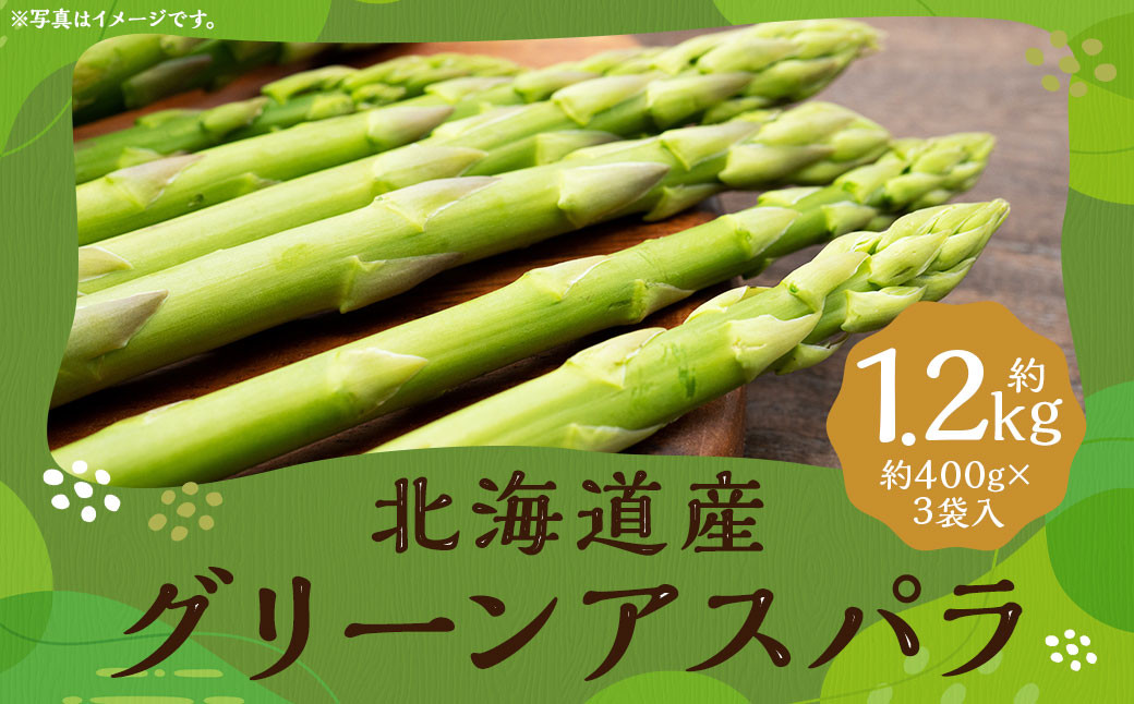 
                  グリーンアスパラ 約1.2kg （Lサイズ 約400g×2袋・Mサイズ 約400g×1袋） （JA） アスパラガス アスパラ 国産 冷蔵 【2026年6月上旬発送予定】
                