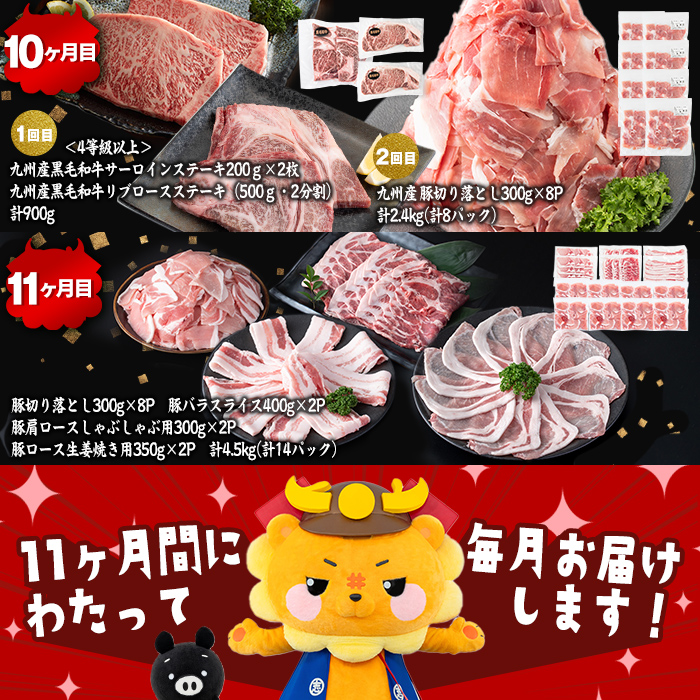 【定期便11ヶ月】ししまる定期便S(11ヶ月連続 月1～2回お届け！・計44.06kg) 黒毛和牛 黒豚 国産牛 九州産 豚 豚肉 肉 牛肉 国産 4等級 小分け 真空包装 冷凍 t0383-001