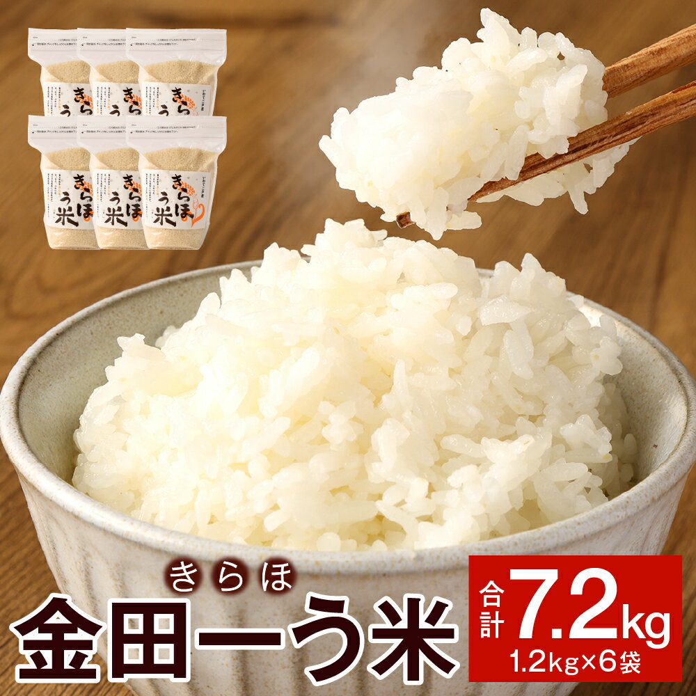 【ふるさと納税】金田一う米 きらほ 精米 1.2kg×6袋 合計7.2kg 令和7年産 きらほ 米 お米 白米 検査米 ご飯 東北 岩手県産 国産 送料無料