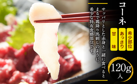 馬刺しの皿盛り(スライス)《30日以内に出荷予定(土日祝除く)》【熊本肥育】 赤身400g/フタエゴ120g/コーネ120g(タレ5ml×6袋) 