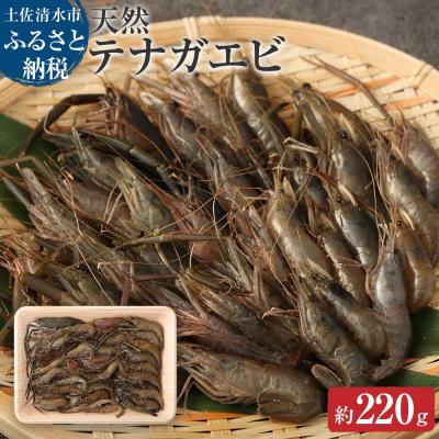 ふるさと納税 土佐清水市 天然テナガエビ【冷凍【先行受付】1パック (約220g) 川えび 素揚げ  甲殻類 【R00026】