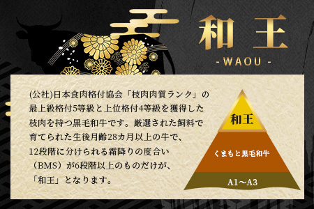 くまもと黒毛和牛(和王) ロースステーキ 400g(200g×2) ブランド牛 肉 ロース ステーキ 焼肉 霜降り 赤身 芳醇 BBQ  牛肉 冷凍 精肉 国産 牛 プレミアム品質 122-0515