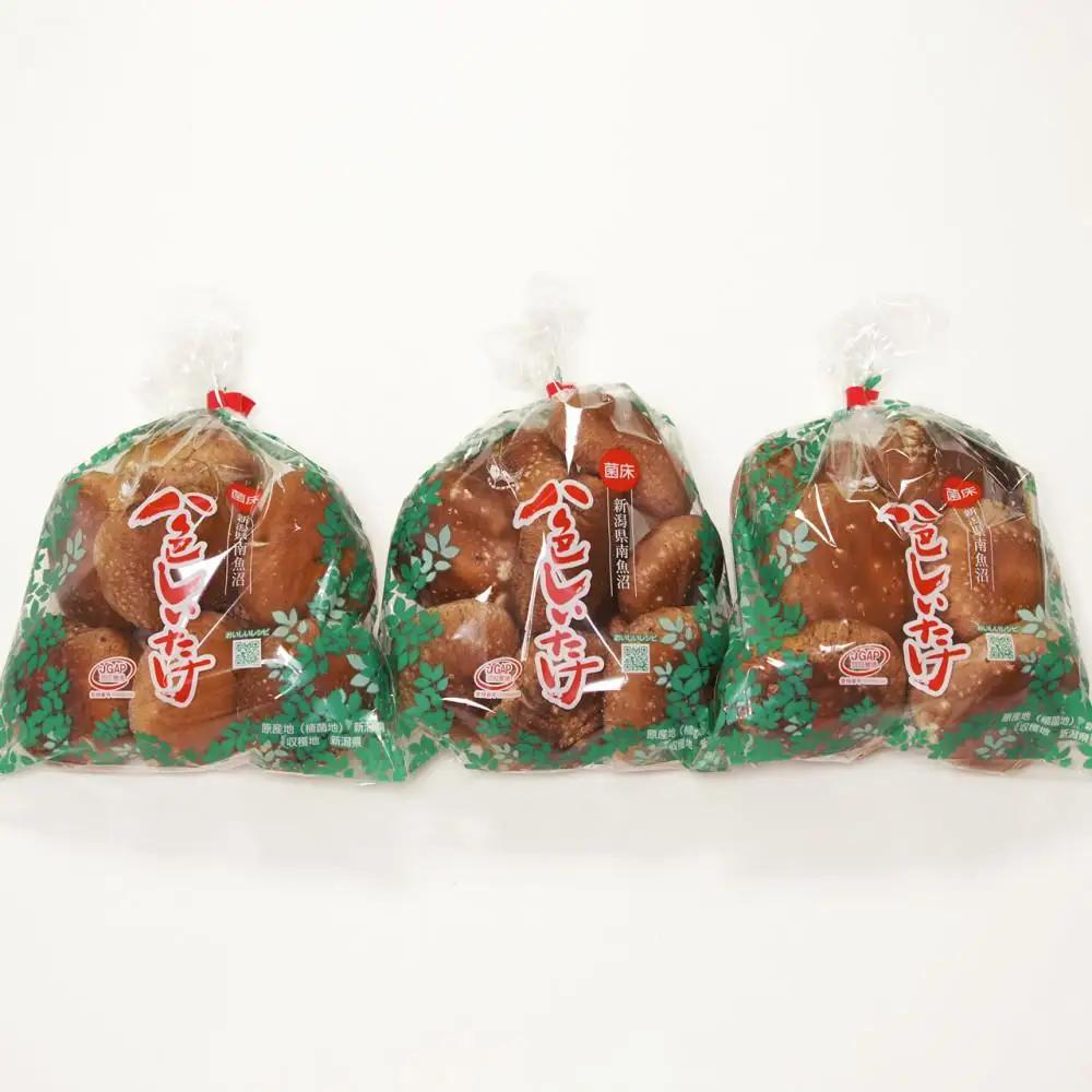 【家庭用】厚いにもほどがある「八色しいたけ」750g（250g×3袋） ｜しいたけ