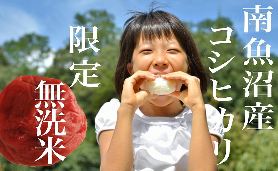 【令和7年産】【定期便】《無洗米》南魚沼産コシヒカリ8Kg×全3回【2025年10月上旬より順次発送予定】