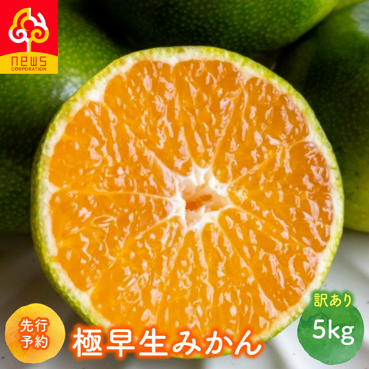 【ふるさと納税】【先行予約】【訳あり】極早生みかん 5kg（2026年9月中旬から発送予定）【ふるさと納税 人気 おすすめ ランキング みかん ミカン 蜜柑 柑橘 極早生みかん mikan 果物 フルーツ 旬 ニュウズ 愛媛県産 愛媛県 伊方町 送料無料】IKTF029