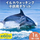 【ふるさと納税】南島原 イルカウォッチング 子ども用 1人用 チケット / イルカ 観光 南島原市 / 南島原イルカウォッチング[SAE003]