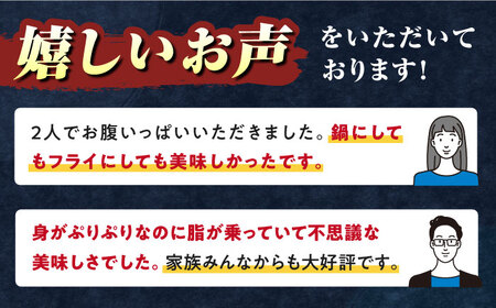 【全3回定期便】対馬 産 クエ 鍋 セット 600g (2?3人前)《対馬市》【対馬地域商社】九州 長崎 海鮮[WAC033] コダワリクエ鍋 こだわりクエ鍋 おすすめクエ鍋 おススメクエ鍋 人気クエ