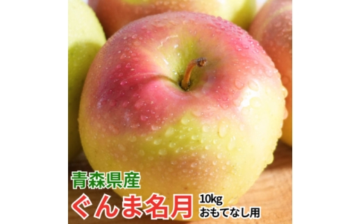 ＜26年2月出荷予定＞平均糖度13度以上! ぐんま名月 約10kg おもてなし用【1612884】