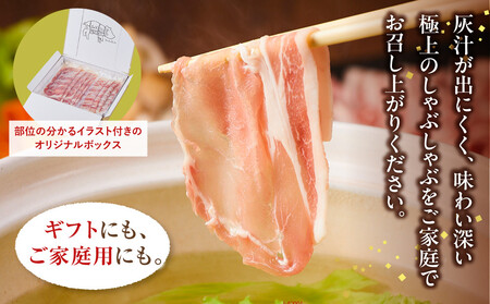 和豚もちぶたしゃぶしゃぶセット 合計800g ｜ しゃぶしゃぶ お肉