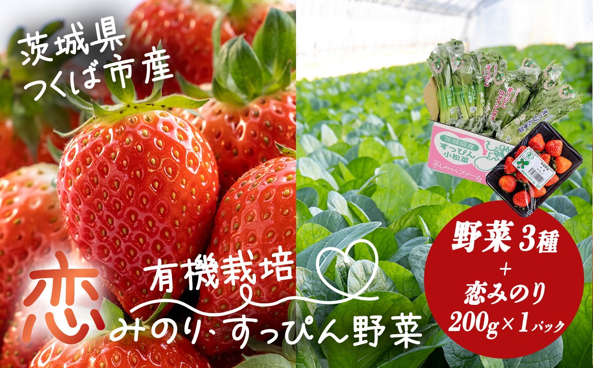
                  すっぴん有機やさい3種・いちご200g セットA │ いちご 苺 イチゴ 恋みのり 小松菜 ロメインレタス 水菜 野菜 有機栽培 無農薬 オーガニック フルーツ 果物 茨城県 つくば市
                