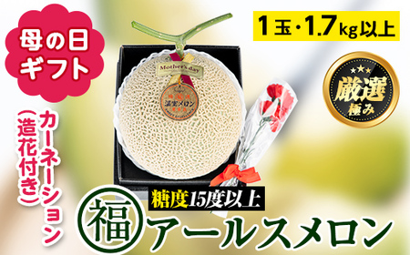 【0151112a-M】＜母の日ギフト・数量限定＞高級アールスメロン(大玉1玉・1.7kg以上、カーネーション(造花)付) メロン フルーツ 果物 果実 1キロ 数量限定 期間限定 贈答 贈り物 母の日【マル福園芸組合】