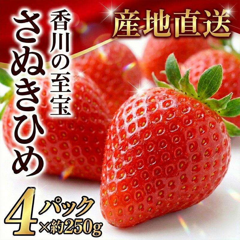 【ふるさと納税】最旬 いちご さぬきひめ オリジナル品種 約1kg(250g×4) [ フルーツ 果物 苺 期間限定 数量限定 スイーツ 甘い 果汁 国産 産地直送 お取り寄せ グルメ ギフト 人気 ランキング プレゼント 香川県 三豊市 さぬき 10,000円 台 返礼品 送料無料 横山農園 ]
