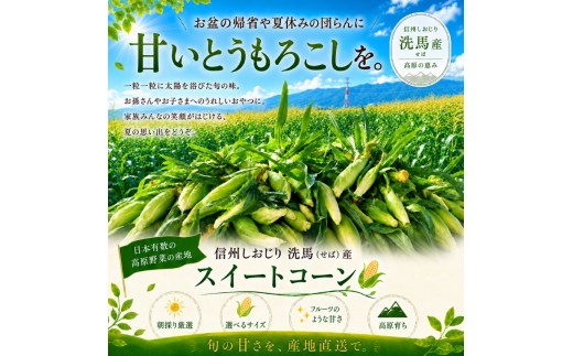ふるさとの夏、お盆。真ん中に採れたてのとうもろこし♪