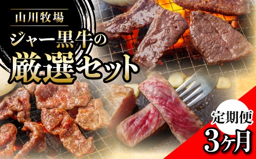 【定期便３か月】山川牧場ジャー黒牛の厳選セット 【 ふるさと納税 人気 おすすめ ランキング 北海道ブランド牛 牛 牛肉 和牛 ジャー黒 モモ モモ肉 ロース ロース肉 焼き肉 サーロイン ステーキ サーロインステーキ ステーキ肉 牛ステーキ カルビ 定期便 北海道 七飯町 送料無料 】 NAN016