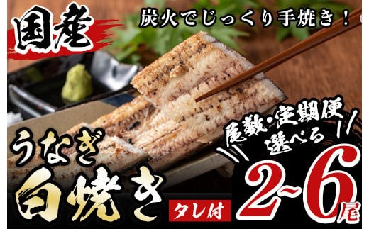 
                  《尾数・定期便選べる！》タレ付き！国産うなぎ白焼き(計2～6尾/定期便:2尾×3回) 九州産 鰻 ウナギ 無頭 魚 魚介類 かばやき 蒲焼 蒲焼き しろやき 白焼 内容量選べる えらべる おかず 特産品 土用 丑の日 お土産 ギフト プレゼント 冷蔵 【尾方屋】
                