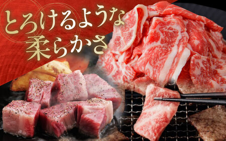 高知から美味しいお肉の玉手箱!化粧箱入り　約840g