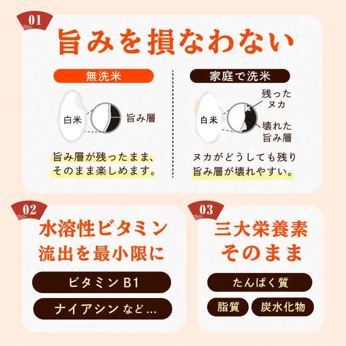 無洗米 福岡県産夢つくし 10kg 令和7年産 [AFCE001] お米 無洗米