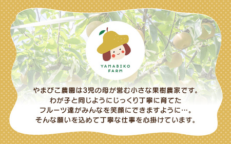 先行予約 豊水梨 3kg (3L～5Lサイズ) 6~8玉入り【2026年9月上旬～9月下旬発送】 梨 和梨 なし [A-21901_02]
