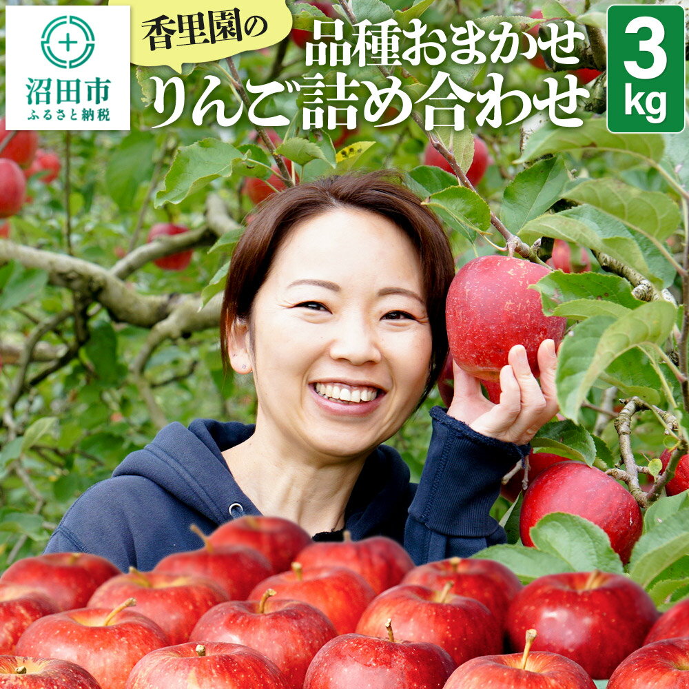 【ふるさと納税】《10月上旬〜11月下旬発送》香里園の品種おまかせ りんご詰め合わせ 3kg