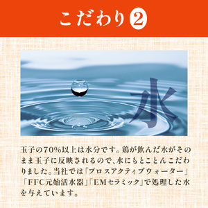 熊福こだわり美豊卵　30個　3か月定期便
