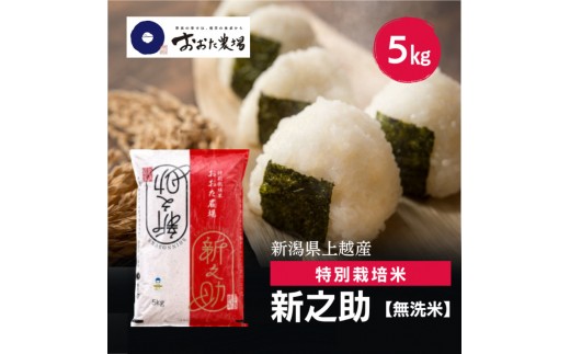 
                  令和8年産 新潟県上越産 特別栽培米 新之助 5kg 5キロ 【無洗米】 しんのすけ 新米 おおた農場 上越市
                