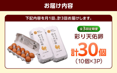 3回定期便 彩り天佑卵 30個 [AIDL002] 卵