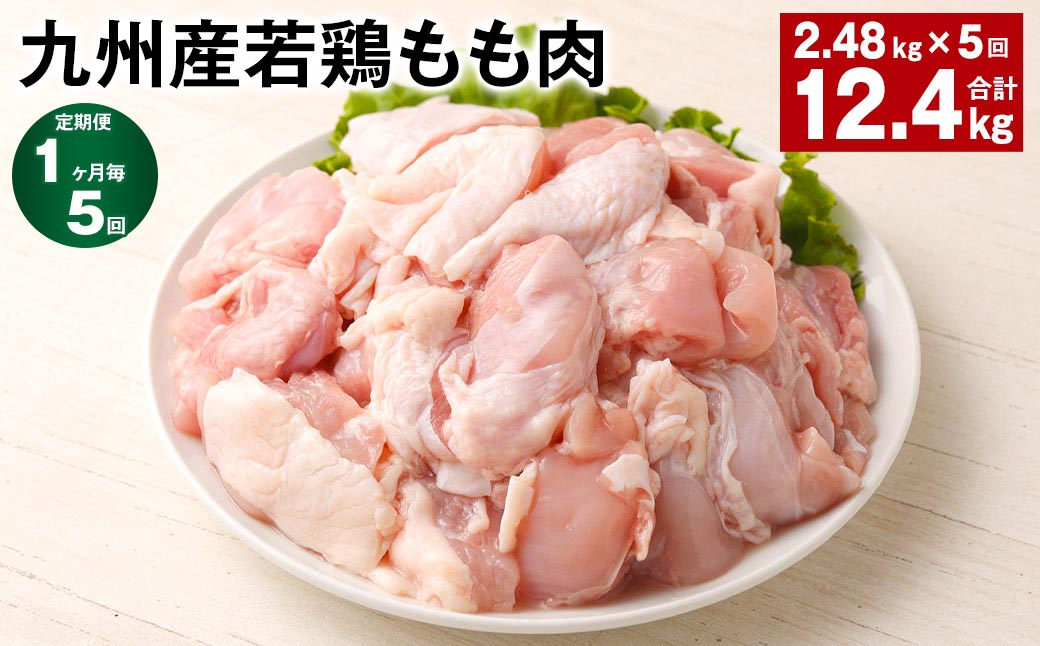 
【1ヶ月毎5回定期便】 九州産若鶏もも肉 計約12.4kg（約2.48kg✕5回） 鶏肉 もも肉 お肉
