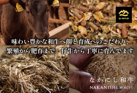 【生産者まかない用特別提供品】宮崎和牛不揃いカットステーキ 500g（国産 牛肉 国産牛 和牛 黒毛和牛 赤身 不揃い ステーキ 焼肉）