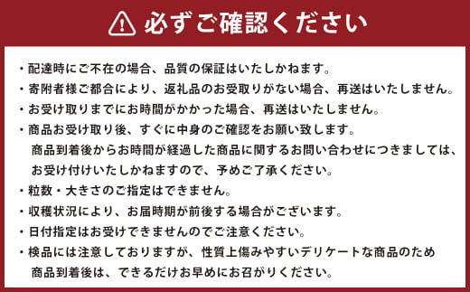 熊本県産 不知火柑 約4.5kg しらぬい 果物 柑橘類 みかん 蜜柑 【2026年2月下旬発送開始】