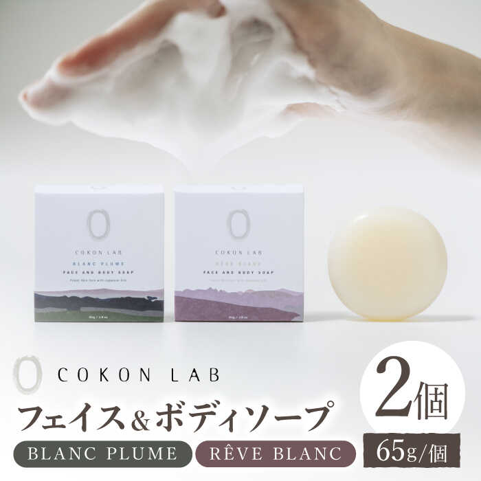 【ふるさと納税】COKONLAB フェイス&ボディソープ BR2個セット【株式会社 あつまるホールディングス NSP山鹿工場】[ZBR016] 化粧品 コスメ 美容 国産 ボディケア ハンドケア 石鹸 せっけん