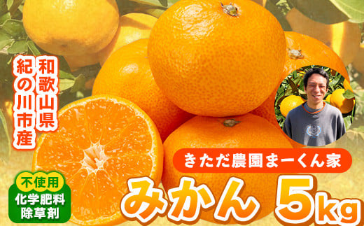 
            まーくん家のみかん 5kg 《2025年11月中旬-12月中旬頃出荷》 和歌山県 紀の川市 柑橘 きただ農園まーくん家 化学肥料・除草剤不使用
          