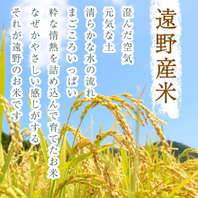 【入金確認後、最短5日で出荷】 【令和7年産】いわてっこ(精米) 岩手県遠野市産 5kg 河判【1702590】