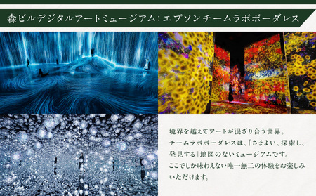 【麻布台ヒルズ ペア体験】チームラボボーダレス/Dining 33三國清三氏プロデュースディナーコースペアお食事券