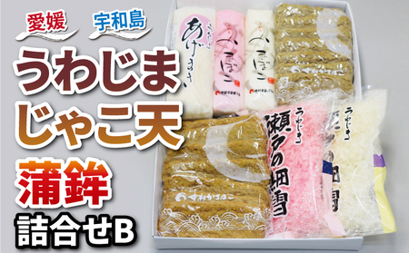 じゃこ天 蒲鉾 詰め合わせ Bセット 中村かまぼこ店 揚巻 上板蒲鉾 削り蒲鉾 紅白 すり身 練り物 冷蔵 惣菜 フライ だし てんぷら 天ぷら かま天 かまぼこ 揚げかまぼこ 蒲鉾 カマボコ 練り物 練物 郷土料理 酒 おつまみ 加工品 特産品 愛媛 宇和島 C018-013002