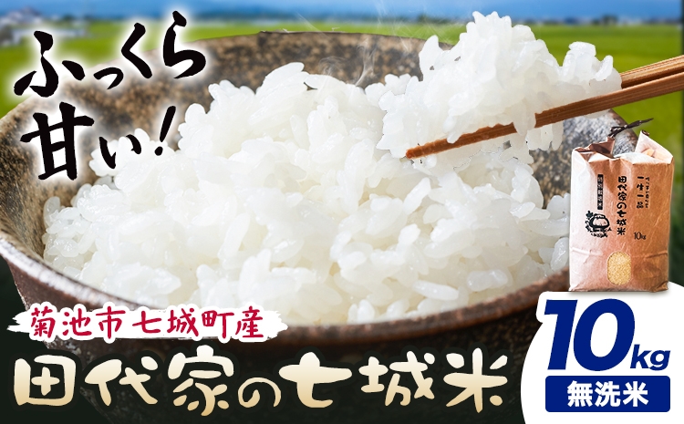 
                  令和7年産 菊池市七城町産 田代家の七城米 七城ヒノヒカリ 無洗米 10kg 田代こめや《30日以内に出荷予定(土日祝除く)》熊本県 菊池市 米 お米 精米 ひのひかり 菊池市産 熊本県産 九州産 送料無料
                