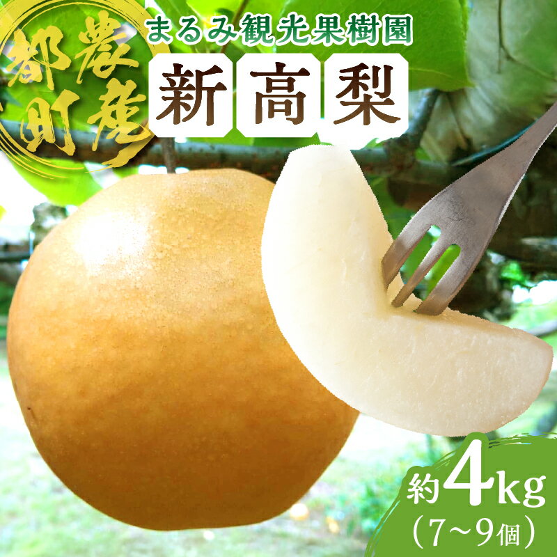 【ふるさと納税】先行予約 都農町産 期間限定 数量限定 まるみ果樹園 新高梨 安心 安全 天然ミネラル栽培 デザート フルーツ 季節の果物 旬 おいしい 甘い ジューシー 食品 おやつ 国産 おすすめ 人気 お取り寄せ お土産 手土産 おすそ分け 贈り物 宮崎県 送料無料