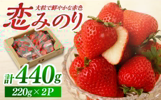 【先行予約】【農家直送】いちごに想いをのせて『恋みのり』220g×2パック/ いちご 苺 イチゴ こいみのり フルーツ 果物 甘い あまい  アフター対応 アフターフォロー 期間限定 産地直送 国産 佐賀県産 さがいちご 九州 佐賀県 白石町 【鐘ヶ江農園】[IBH001]
