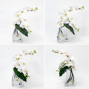 アートフラワー エミリオ・ロバ  ファレノプシスL TTNTA-58200