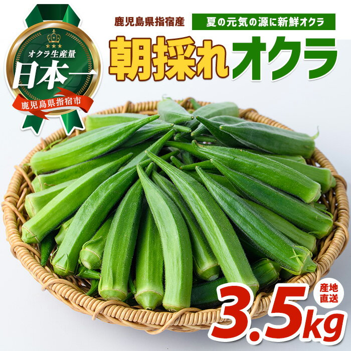 【ふるさと納税】＜期間限定＞夏の元気の源！朝採れ新鮮いぶすきオクラ(約3.5kg)おくら オクラ 豆 野菜 鹿児島県 そうめん 納豆 キムチ 【指宿促成青果】