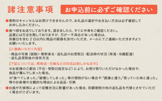 【限定50箱】比嘉さん家の千なりマンゴー(特選・1kg)【2025年