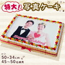 【ふるさと納税】 ケーキ 写真ケーキ スクエア 50×34cm プリント 果物 フルーツ イチゴ キウイ オレンジ 洋菓子 デザート スイーツ ケーキ シュークリーム エクレア プリン 焼菓子 おやつ お菓子 ギフト プレゼント 記念日 誕生日 冷凍 送料無料 徳島県 阿波市 CAKE EXPRESS