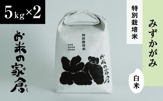 
【新米：令和６年産】滋賀県長浜市　しっかり粒感！　特別栽培”みずかがみ”５K白米×２
