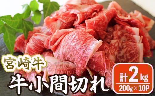 
            宮崎牛 小間切れ (計2kg・200g×10) 牛肉 精肉 お肉 黒毛和牛 ブランド和牛 切り落とし こま肉お取り寄せ 冷凍 国産 宮崎県 【MA-12】【株式会社マルミヤストア】
          
