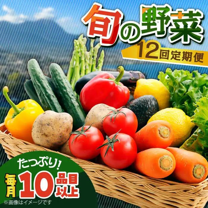 【12回】旬のお野菜  10種 [SCW047] 野菜定期便