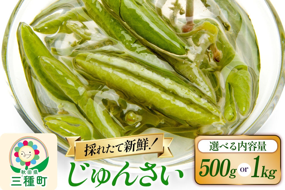 
                  じゅんさい【選べる内容量 500g／1kg】秋田県山本郡三種町産 [じゅんさい 秋田県産 国産 自然食品]
                