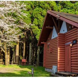 美里の森キャンプ場ガーデンプレイス　フォレストロッジ・デラックス(10人用)利用券【要予約】【1695865】