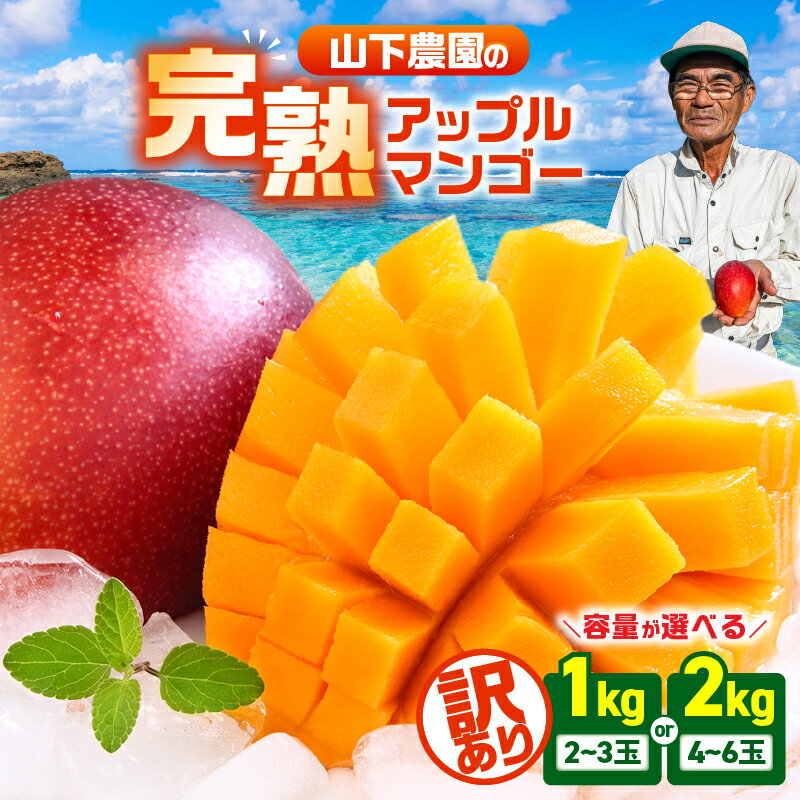 【ふるさと納税】【2026年先行予約】【訳あり】＜選べる＞ 甘い香りの贈り物 山下農園 の 完熟アップルマンゴー 1kg or 2kg マンゴー アップルマンゴー 完熟 芒果 先行予約 期間限定 果物 フルーツ 果実 甘い デザート 鹿児島 和泊町 おすすめ ランキング プレゼント ギフト