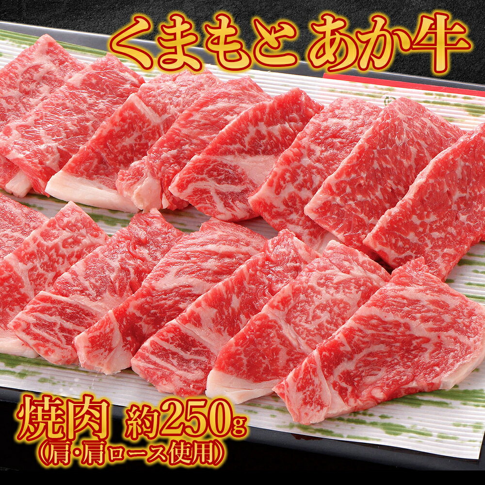 【ふるさと納税】 くまもとあか牛焼肉 （肩・肩ロース使用）約250g ～ 約500g 肉 牛肉 国産 焼肉 焼き肉 肩ロース 熊本県 水上村
